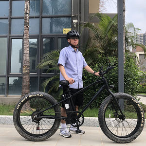 จักรยานไฟฟ้าสำหรับคนญี่ปุ่นขนาด24กม./ชม. 350W ระยะไกล - Product Image 1