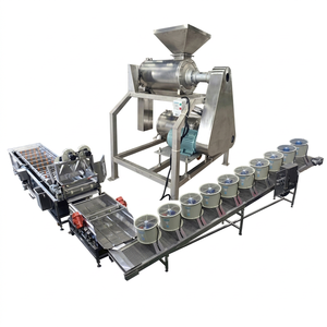 Machine à pulpe de mangue en acier inoxydable, usine de Production de pulpe de mangue, ligne de traitement de pulpe de mangue - Product Image 1