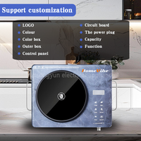 Cuisinière à rayonnement électrique à brûleur unique Plaque de cuisson infrarouge multifonctionnelle durable Garantie de 1 an pour une utilisation dans la cuisine à domicile