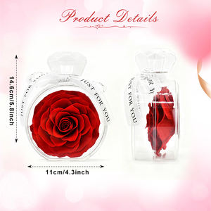 ורדים נצחיים ליום האהבה, פרח אלמוות, ורדים נצחיים, ורדים משומרים לנצח, בקבוק בושם מזכוכית אקרילית - Product Image 2