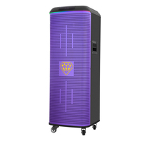 Altavoz Activo Profesional para Escenarios al Aire Libre, OEM DEM SKD TWS, Doble Woofer de 15'', 2 Vías, 600W, con Batería, Iluminación de Escenario