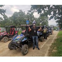 Cabina eléctrica para adultos, 200CC, caza a gas, elektro utv mit eec Trail-blazer, directo de fábrica