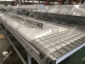 Dates Date Industrial Dates Wash And Dry Production Line Drying Sorting Grading Dates Washing Line Date Washing Machine