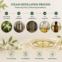 Huile essentielle de thé blanc 100% naturelle, qualité cosmétique, huile parfumée biologique au thé blanc pour la peau, les cheveux, le corps et les diffuseurs de parfum