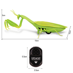 <span class=keywords><strong>Mantis</strong></span> Eléctrica de Simulación, Juguete Realista con Control Remoto Infrarrojo, Mini <span class=keywords><strong>Mantis</strong></span> RC, Insecto, Trucos de Miedo, Juguetes de Broma - Product Image 5