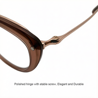 25JJH114 Monturas Ópticas Unisex de Diseño Ojo de Gato, Combinación Vintage de Acero Inoxidable y Acetato