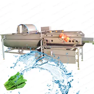 Turmeric Washing Machine Onion Cleaning Machinery Vortex Vegetable Washing Machine