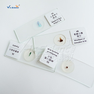 Equipo de enseñanza de biología: Juego de 100 tipos de especímenes de animales y plantas, en stock, para observación microscópica en portaprobetas. - Product Image 3