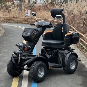 Scooter électrique à 4 roues à pneus larges, haute mobilité, véhicule électrique, robuste, 1000W, batterie 60V - Product Image 2