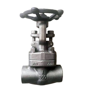 A105 PN25 Gate Flange End 800# Socket Welded F304 Forged Steel Gate for Gas Water Oil Pipe - Product Image 4
