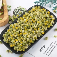 Bunga Chamomile Kering Utuh, Bahan Baku Teh Herbal Grosir Ekspor