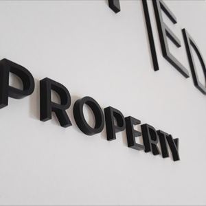 Logo aziendale parete segno lettere in acciaio inox parete 3d Logo segno negozio di lettere in metallo anteriore spazzola argento segno 3d - Product Image 1