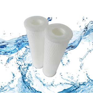 Cartouche filtrante plissée à double extrémité ouverte de 0,22 micron, 10 pouces, pour types submicroniques - Product Image 1