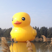 Dessin animé flottant gonflable géant de 12m-15m sur le lac de la mer