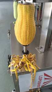 Machine à peler automatique pour melon et ananas - Acier inoxydable 304 - Facile à utiliser - Product Image 6