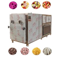 50Kg 5m2 Kleinschalige Thuis Commerciële Vacuüm Voedsel Spray Vriesdroger Groente Fruit Lyofilisator Machine Voor Snoep Snoep