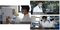 Kit lourd du polypeptide de Neurofilament phosphorylé humain (pNEFH) ELISA