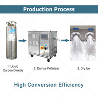 Machine à fabriquer des pastilles de glace sèche ORME entièrement automatique 60 kg/24 h 3 mm SUS304 pour la conservation des aliments et la chaîne du froid
