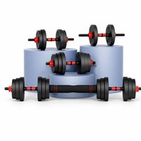 Haltères en fonte métallique noire personnalisés en usine, pratiques, 5, 10, 15, 20, 25, 30 kg, ensembles d'haltères réglables pour la maison et la remise en forme