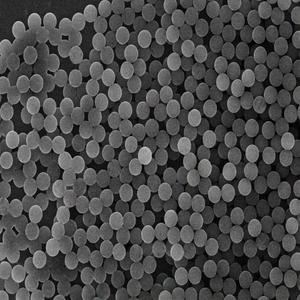 Partículas Magnéticas de Carboxilo Monodispersas para la Detección de Biomarcadores, Purificación de Proteínas y Sistemas de Bioseparación - Product Image 1