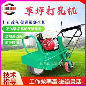 Machine de perçage de gazon manuelle autopropulsée pour jardin, terrain de sport et stade, pour l'aération des racines et l'entretien du gazon - Product Image 3