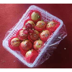 Semi <span class=keywords><strong>di</strong></span> <span class=keywords><strong>Melograno</strong></span> Rosso Rubino Tunisino Raccolto Fresco 2025, Grado 350g+, Arilmi Morbidi e Dolci, Succosi e Deliziosi, Alta Qualità, 15% Brix, Pronti all'Uso - Product Image 3
