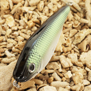 Leurre de pêche <span class=keywords><strong>Super</strong></span> Hot Artificial Hard Jerk Bait Motion <span class=keywords><strong>Buster</strong></span> à descente lente pour brochet, leurre en plastique ABS OEM avec yeux 3D, 10 pièces - Product Image 6