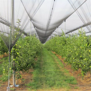 ตาข่ายป้องกันลูกเห็บตาข่ายพลาสติกตาข่ายต้น<span class=keywords><strong>ไม้</strong></span>แอปเปิ้ลเกษตรกรรม - Product Image 6