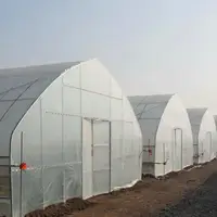 agriculture flower green house single span greenhouse for growing rose