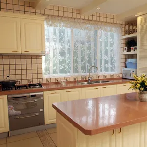 新厨房设计2021移动家庭白色拉克特厨柜