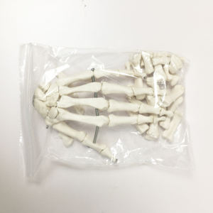 Escuela de Medicina enseñanza tamaño completo plástico desarticulado cuerpo entero humano hueso disperso anatomía <span class=keywords><strong>esqueleto</strong></span> modelo con cráneo - Product Image 6