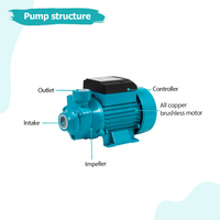 Mini pompe à eau solaire QB60 24V 230W à courant continu à balais pour l'irrigation et l'énergie solaire – Vente en gros