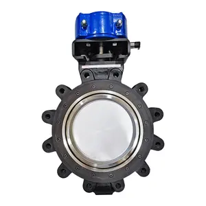 Cast Iron Semi ANSI Lug Butterfly Valve Water SS Disc Pneumatic Control Butterfly Valve