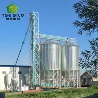 Silo à grain en acier à fond trémie personnalisé avec contrôle automatique PLC pour les projets mondiaux de transformation des aliments