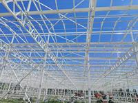 Glazen landbouwkas, intelligente groeitent voor groenten, kasbouw en -constructie, klimaatregeling, kas