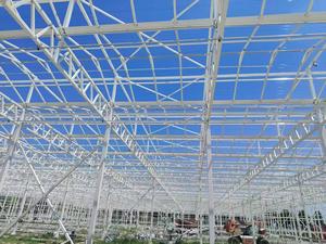 Serre de culture agricole en verre intelligente pour légumes, avec contrôle climatique, pour la construction et la rénovation - Product Image 3