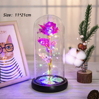 Cadeau de la Saint-Valentin pour la mère, cadeau pour femme, rose éternelle en plastique dans un dôme en verre avec lumières LED, romantique, écologique