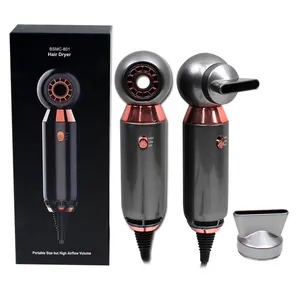 800W Mini Travel Household Hotel Salon One Step Portable Hair Dryer Hair Care Styling Private Label Fast-Drying Hair Blow Dryer
