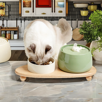 Distributeur d'eau automatique en céramique pour animaux de compagnie de 850 ml, fontaine à eau intelligente pour chats et chiens avec système de circulation à charge