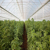 Grande tour hydroponique de jardin NFT, tuyau en Pvc avec pompe à eau pour les légumes et les fruits, livraison gratuite