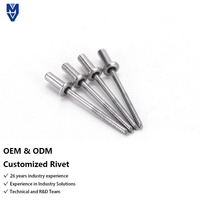 Rivets à percussion de type ouvert DIN7337 OEM, longueur personnalisée, en aluminium, acier, acier inoxydable, fabricant de rivets à percussion