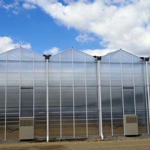 Invernadero Venlo inteligente grande de varios tramos, horticultura, comercial, agrícola, proveedor de casas verdes, invernaderos de flores de vidrio - Product Image 3