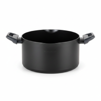 Casserole Statement Line 24 cm en aluminium avec poignée en plastique, compatible avec les plaques à induction, 2,0-3,0 L, design moderne, passe au lave-vaisselle et au four