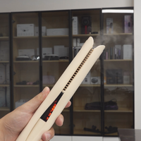Lisseur à vapeur automatique Private Label Cloud pour cheveux – Outil de coiffure professionnel