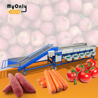 Mijn fruitverwerkingsmachine, verse citroensorteermachine, palmvrucht- en tomatenmaat-, reinigings- en sorteermachine.