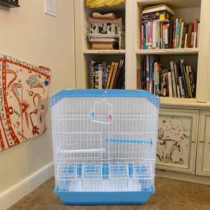 Grande cage à oiseaux en acacia D406 cage pour animaux de compagnie en fer avec plateau en plastique palette et fermeture à bouton pour perroquet <span class=keywords><strong>étourneau</strong></span> muguet oiseaux - Product Image 1