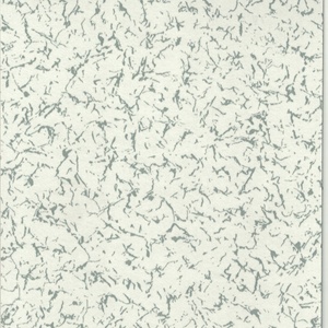 Superficie de Panel HPL para Centro de Datos con Marco de Acero Inoxidable KEPLER, Superficie de Laminado Compacto Fenólico de Alto Tráfico, Antiestática, para Piso de Sala de TI - Product Image 4