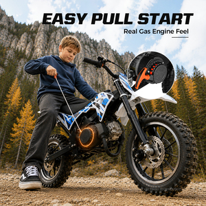 Motocross miniature tout-terrain pour enfants, 50 cm3, 2 temps, 45 <span class=keywords><strong>km</strong></span>/<span class=keywords><strong>h</strong></span>, directement de l'usine - Product Image 6