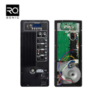 Carte amplificateur APH-220W RQSONIC Module amplificateur audio professionnel de classe H pour haut-parleur actif