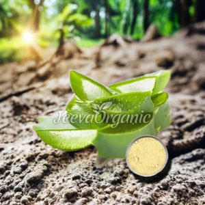 Vente chaude de haute qualité lyophilisé extrait d'aloe vera poudre de gel d'aloe vera à base de plantes de qualité supérieure Type d'extrait de plante - Product Image 6